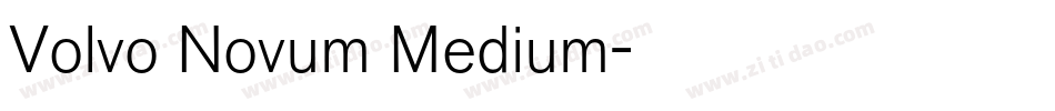 Volvo Novum Medium字体转换